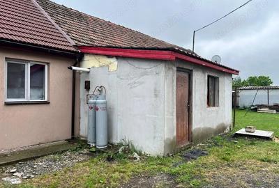 Casă cu 2 camere în Aradului - 1
