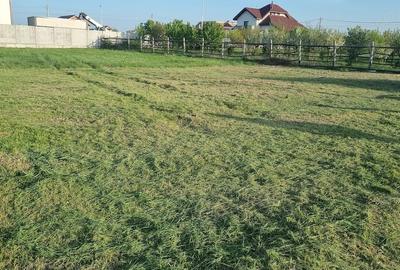 Teren de 801 mp, în Frumușeni - 4