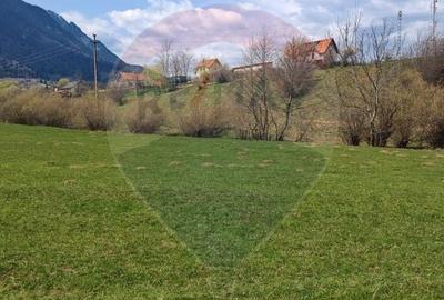 Teren Construcții intravilan de 1404 mp, în Sud-Vest - 7