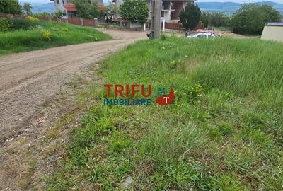 Teren de 1000 mp, în Micești