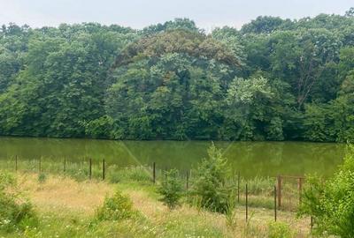 Teren agricol intravilan de 3778 mp, în Brănești - 10