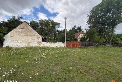Casă cu 2 camere cu Teren 499 Mp în Noua