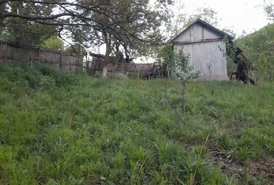 Casă cu Teren 1800 Mp în Anini