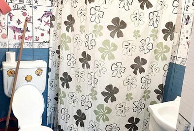Apartament cu 2 camere decomandat în Iosefin - 9