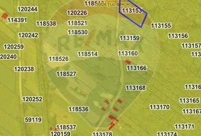 Teren agricol intravilan de 1700 mp, în Borod - 10