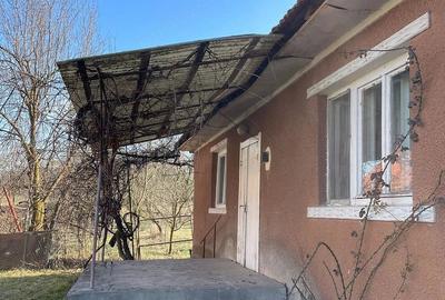 Casă cu Teren 1600 Mp în Dăbâca - 4