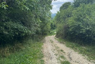 Teren de 6000 mp, în Central