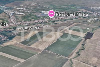 Teren agricol extravilan de 25000 mp, în Șura Mică - 1