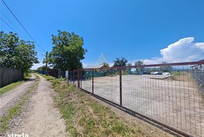 Teren de 1450 mp, în Letea Veche - 6