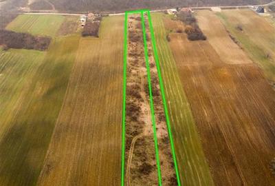 Teren Construcții intravilan de 13041 mp, în Burzuc - 3