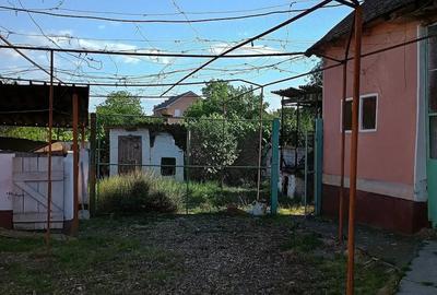 Casă cu 4 camere cu Teren 1300 Mp în Șicula - 2