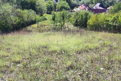 Teren de 2160 mp, în Șpring