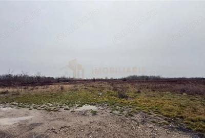 Teren de 101 mp, în Tăuții-Măgherăuș - 1