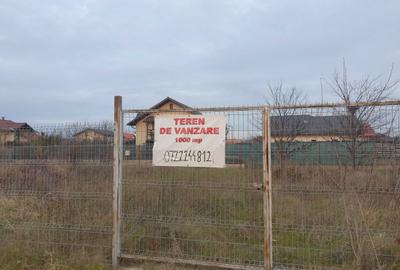 Spațiu comercial, în Brănești - 12