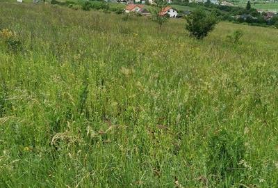 Teren de 2900 mp, în Aghireșu - 2