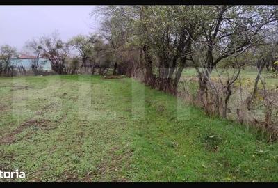 Teren de 3000 mp, în Conțești - 7