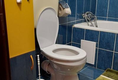 Garsonieră decomandată în Rogerius - 7