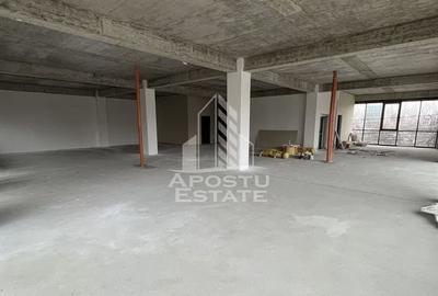 Spațiu comercial, de 1,000 mp, în Torontalului