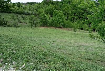 Teren de 1371 mp, în Cotmenița - 2