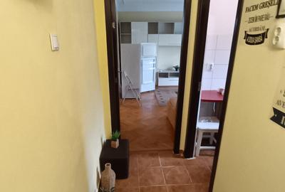 Apartament cu 2 camere semidecomandat, mobilat în Piața Unirii - 16
