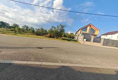 Spațiu comercial, în Central
