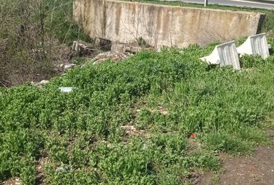 Teren Construcții extravilan de 2500 mp, în Șindrilița - 4