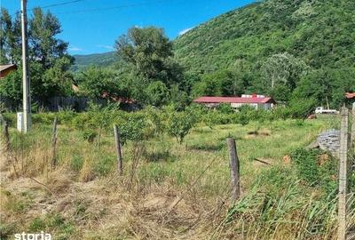 Teren de 3500 mp, în Mehadia - 4