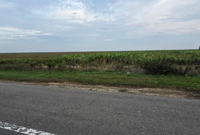 Teren agricol extravilan de 18000 mp, în Boțârlău - 20