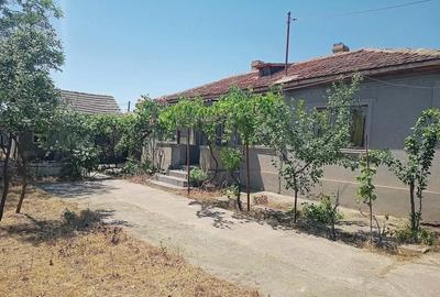 Casă cu 3 camere cu Teren 3500 Mp în Baia