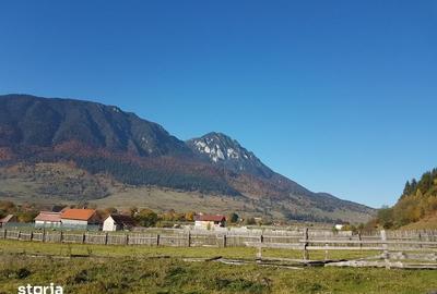 Teren de 7800 mp, în Central - 5