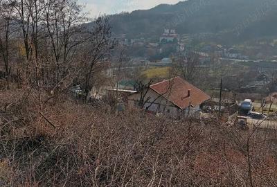 Teren de 1000 mp, în Mătișești (Ciuruleasa) - 3