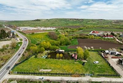Teren Construcții intravilan de 6000 mp, în Ilișești - 21