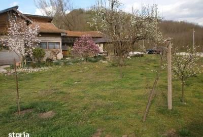 Teren de 120 mp, în Calvini - 6