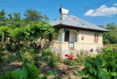Casă cu 4 camere în Grădiștea - 6
