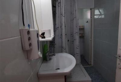 Casă individuală cu 2 camere cu Canalizare în Tulgheș - 13
