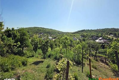 Casă cu 3 camere în Uricani - 4
