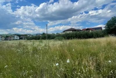 Teren în Tăuții-Măgherăuș