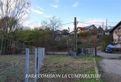 Teren Construcții intravilan de 3231 mp, în Ostroveni - 6
