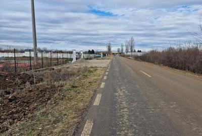 Teren Construcții intravilan de 12800 mp, în Ciolpani - 1