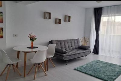 Apartament cu 2 camere decomandat în Nufărul - 3
