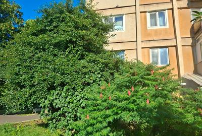 Apartament cu 2 camere decomandat în 9 Mai - 3