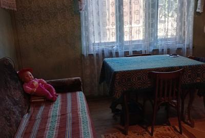 Casă cu 2 camere în Rugășești