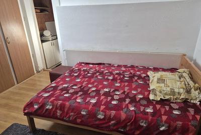 Garsonieră decomandată în Sub Arini