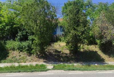 Casă cu 3 camere cu Teren 3067 Mp în Gorban - 3