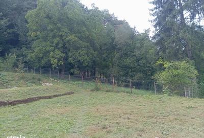 Casă cu 3 camere cu Teren 1106 Mp în Central