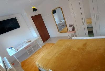 Apartament cu 2 camere semidecomandat în Drumul Taberei - 5