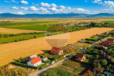 Teren Construcții intravilan de 500 mp, în Hărman