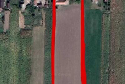 Casă cu 3 camere în Tămășeu - 7