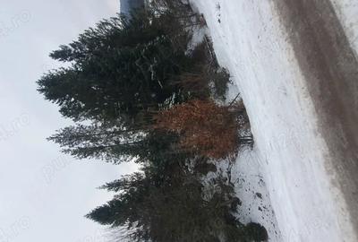 Teren de 3200 mp, în Capu Câmpului - 3
