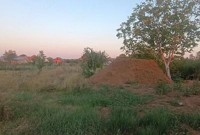 Casă cu Teren 1439 Mp în Alioș